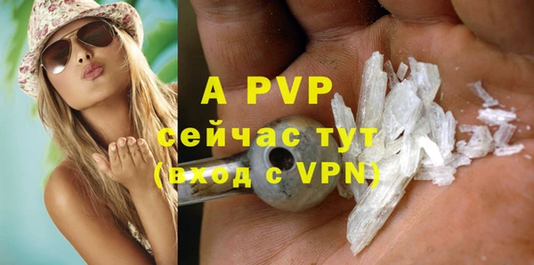 ГАЛЛЮЦИНОГЕННЫЕ ГРИБЫ Липки