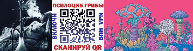 Псилоцибиновые грибы GOLDEN TEACHER  Нахабино 